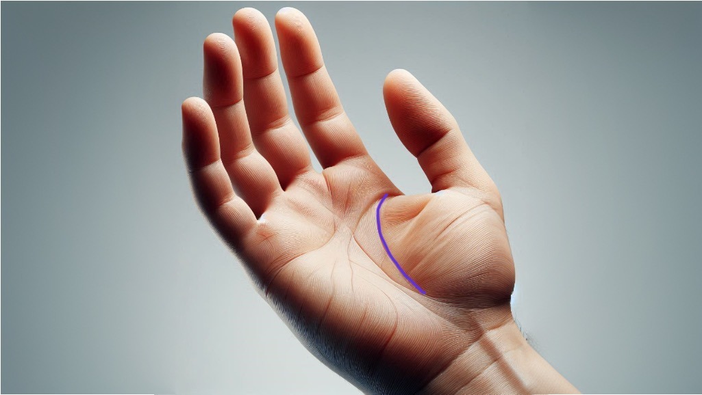 The Guardian Angel Line on the Hand: Meaning and Location