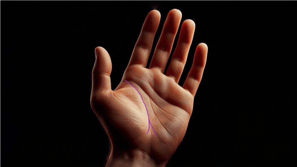 The Life Line Splits: What This Means in Palmistry